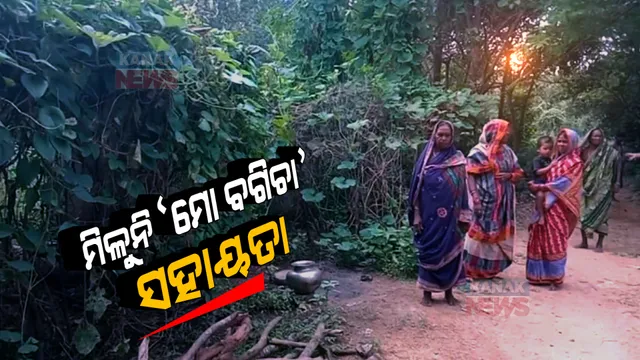 ପାଣିର ଗାର ପାଲଟିଛି ପ୍ରଶାସନର ପ୍ରତିଶ୍ରୁତି: ମହିଳାଙ୍କୁ ମିଳୁ ନାହିଁ ‘ମୋ ବଗିଚା’ ସହାୟତା 