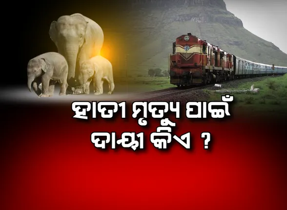 ହାତୀ ମୃତ୍ୟୁ ପାଇଁ ଦାୟୀ କିଏ ? ହାତୀ ଉପରେ ଦୋଷ ଲଦି ଖସିଯିବାକୁ କରାଯାଉଛି କି ଉଦ୍ୟମ ?