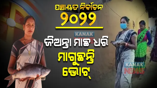 ମାଛ ଚିହ୍ନ ବୋଲି... ଜିଅନ୍ତା ମାଛକୁ ହାତରେ ଧରି ଭୋଟ୍ ମାଗୁଛନ୍ତି ଘର ଘର ବୁଲି