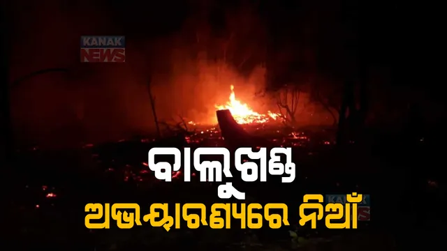 ପୁରୀର ବାଲୁଖଣ୍ଡ ଅଭୟାରଣ୍ୟରେ ନିଆଁ । ନିଆଁକୁ ଆୟତ କରିବାକୁ ଅଗ୍ନିଶମ ବିଭାଗର ଉଦ୍ୟମ ଜାରି ।