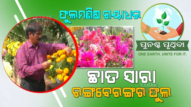 ଖାଲି ଫୁଲ ଆଉ ଫୁଲ... ମାଟିର ଛାତିରେ ନୁହେଁ ଛାତ ଉପରେ ଫୁଲବଗିଚା । ହସୁଛି ୧୦୦ ପ୍ରକାରର ଫୁଲ ।