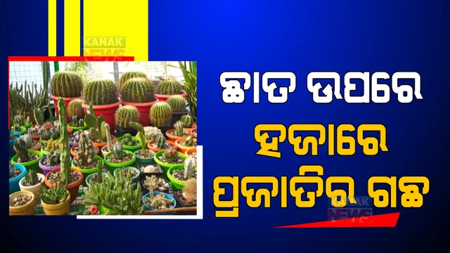ଡାକ୍ତରଖାନା ଛାତ ଉପରେ ବଗିଚା । ବଂଶାଇ ପ୍ରକ୍ରିୟାରେ ହଜାରେ ପ୍ରଜାତିର ଗଛ ଲଗାଇଛନ୍ତି ଡାକ୍ତର ।