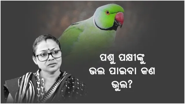 ‘କୋକୋ’କୁ ନେଇ ଆସିଲା ନୂଆ ଟ୍ୱିଷ୍ଟ: ପାଳନକାରୀଙ୍କୁ ଫେରାଇ ଦେବାକୁ ଉଠିଲା ଦାବି
