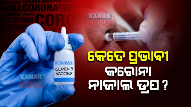 ଦେଶରେ ଖୁବଶୀଘ୍ର ଆରମ୍ଭ ହେବ ବିନା ଛୁଞ୍ଚିରେ ଟୀକାକରଣ । ଭାରତ ବାୟୋଟେକ୍ ଆଣୁଛି ନାଜାଲ ଡ୍ରପ