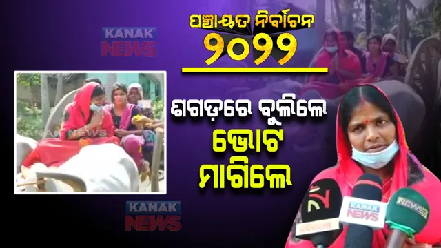 ଆଶା ଦିଦିରୁ ସରପଞ୍ଚ ପ୍ରାର୍ଥୀ: ଶଗଡ଼ ଗାଡ଼ିରେ ବୁଲି ପ୍ରଚାର କରୁଛନ୍ତି ମହିଳା ସରପଞ୍ଚ ପ୍ରାର୍ଥୀ