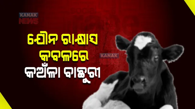 ଯୌନ ରାକ୍ଷାସଙ୍କ କବଳରେ କଅଁଳା ବାଛୁରୀ । ୪ ଅଭିଯୁକ୍ତ ଗିରଫ ।
