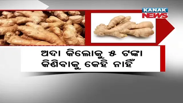 ଝାଳ ବୁହାଇ ଅଦା ଅମଳ କରିଥିଲେ ଚାଷୀ । ହେଲେ ମିଳୁନି ଦାମ, କିଲୋ ୫ ଟଙ୍କାରେ ହେଉଛି ବିକ୍ରି ।