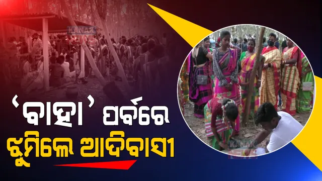 ଜମିଲା ଆଦିବାସୀଙ୍କ ପାରମ୍ପରିକ ‘ବାହା’ ପର୍ବ । ମୁଣ୍ଡରେ ଫୁଲ ଖୋସି ବାଜାର ତାଳେ ତାଳେ ନାଚିଲେ ସାନ୍ତାଳୀ ମହିଳା, ଠାକୁରଙ୍କୁ ଭେଟିଦେଲେ ଫଗୁଣ ମାସର ନୂଆ ଫୁଲଫଳ ।