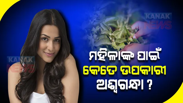 ମହିଳାଙ୍କ ପାଇଁ ବରଦାନ ସଦୃଶ ଅଶ୍ୱଗନ୍ଧା, ପ୍ରଜନନ କ୍ଷମତା ବୃଦ୍ଧି ସହ ଜାଣନ୍ତୁ ଅନ୍ୟ କେଉଁ ରୋଗରୁ ଦେଇଥାଏ ମୁକ୍ତି