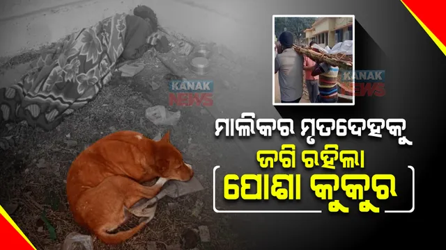 ହଜିଗଲା ମାନବିକତା : ମାଲିକର ମୃତଦେହକୁ ଜଗି ରହିଲା ପୋଶା କୁକୁର; ଶବକୁ କାନ୍ଧ ଦେଲେ ଥାନା ଅଧିକାରୀ