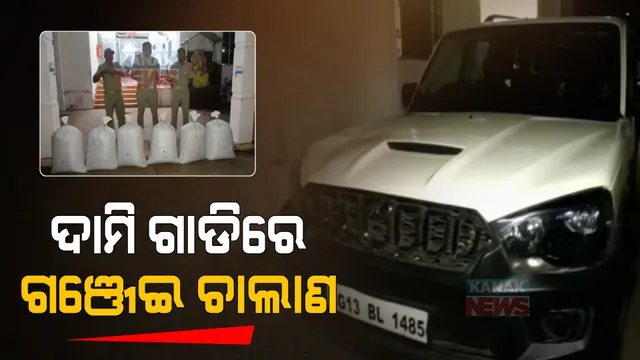 ବଡ଼ ବଡ଼ ଦାମି କାରରେ ହେଉଛି ବେଆଇନ ଗଞ୍ଜେଇ କାରବାର । କାର ସହ କୁଇଣ୍ଟାଲ ୨୦ କିଲୋ ଗଞ୍ଜେଇ ଜବତ କଲା ପୋଲିସ ।