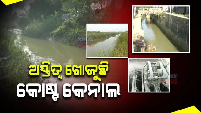 ଅସ୍ତିତ୍ୱ ଖୋଜୁଛି ବାଲେଶ୍ୱର ବାଲିଆପାଳର କୋଷ୍ଟ କେନାଲ । ଜବରଦଖଲକାରୀଙ୍କ କବଜାରେ ଥିବାରୁ ହୋଇପାରୁନି ରକ୍ଷଣାବେକ୍ଷଣ ।