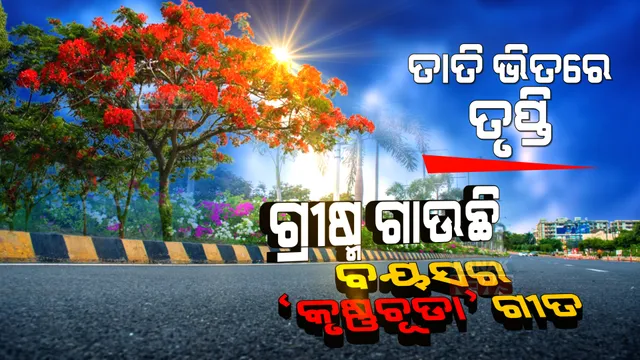 ରାଜଧାନୀ ଛାତିରେ ଫୁଲ ଲେଖୁଛି ପ୍ରେମର ଚିଠି । ଖରାକୁ ଖାତିର ନକରି ବ୍ୟସ୍ତ ମଣିଷକୁ ବାଣ୍ଟି ଚାଲିଛି ପ୍ରୀତିର ହସ । ପଢନ୍ତୁ ଫୁଲେଇ ଫୁଲର କାହାଣୀ...