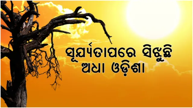 ରାଜ୍ୟରେ ବଢୁଛି ତାପମାତ୍ରା: ବିଶେଷଜ୍ଞ କହିଲେ, ଶୁଖିଲା ମହାନଦୀ ପାଇଁ ବଢ଼ୁଛି ତାତି