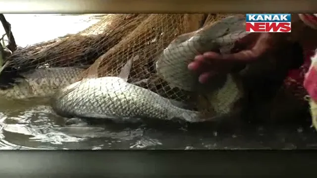 ଆତ୍ମନିର୍ଭରଶୀଳ କରିଛି ମାଛ ଓ ଛତୁ ଚାଷ: ଘର କାମ ସହ ସ୍ୱାବଲମ୍ବୀ ହୋଇଛନ୍ତି ମହିଳା