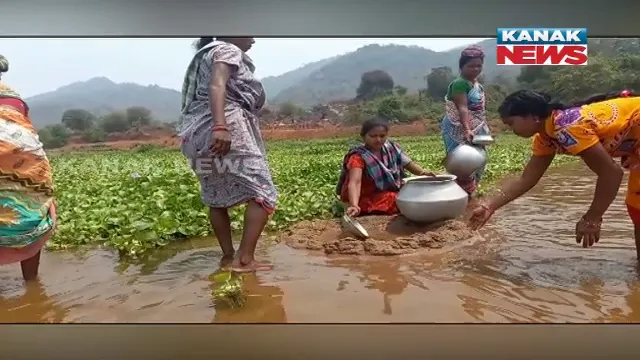 ଅସହାୟ ତାତିରେ ମୁନ୍ଦାଏ ପାଣି ପାଇଁ ସଂଘର୍ଷ । ଶୋଷ ମେଣ୍ଟାଉଛି ନାଗାବଳି ନଦୀର ଦୂଷିତ ଜଳ ।