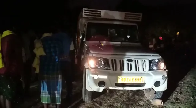 ବିବାହ ଭୋଜିକୁ ଆସି ଫେରୁଥିବାବେଳେ ଭାରସାମ୍ୟ ହରାଇ ଓଲଟିଲା ଭ୍ୟାନ । ୨୫ରୁ  ଅଧିକ ଆହତ, ୧୦ ଗୁରୁତର