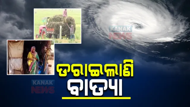 ସମ୍ଭାବ୍ୟ ବାତ୍ୟା ଖବର ଶୁଣି ଚାଷୀ ମୁଣ୍ଡରେ ଚଡକ । ଝଡ-ବର୍ଷାକୁ ଭୟ କରି ବିଲରୁ କଞ୍ଚା ମୁଗ ଓ ଦରପାଚିଲା ଧାନ ଅମଳ କରୁଛି ଚଷା ପୁଅ