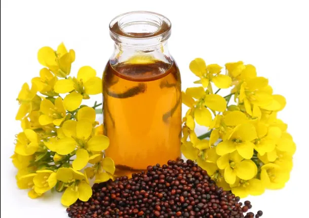 କେଶ ପାଇଁ ଉପକାରୀ ସୋରିଷ ତେଲ । ଏପରି କରନ୍ତୁ ବ୍ୟବହାର, ମିଳିବ ଅନେକ ଫାଇଦା