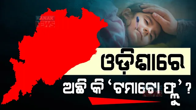 ଦେଶରେ ଟମାଟୋ ଫ୍ଲୁ ବଢ଼ୁଥିବାରୁ ସତର୍କ ହେଲା ରାଜ୍ୟ ସ୍ୱାସ୍ଥ୍ୟ ବିଭାଗ । ଲୋକ କେମିତି ରହିବେ ସତର୍କ, ପରାମର୍ଶ ଦେଲେ ବିଶେଷଜ୍ଞ ଡାକ୍ତର...