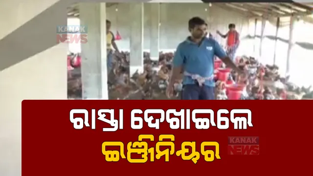 ଯୁବ ଇଂଜିନିୟରଙ୍କ କମାଲ । ମାଛ, କୁକୁଡ଼ା ଓ ଗାଇ ଚାଷ କରି ଲାଭବାନ । ୧୬ଟି ପୋଖରୀରେ ହୋଇଛି ରୋହି, ଭାକୁର, ଚିଙ୍ଗୁଡି ଚାଷ ।