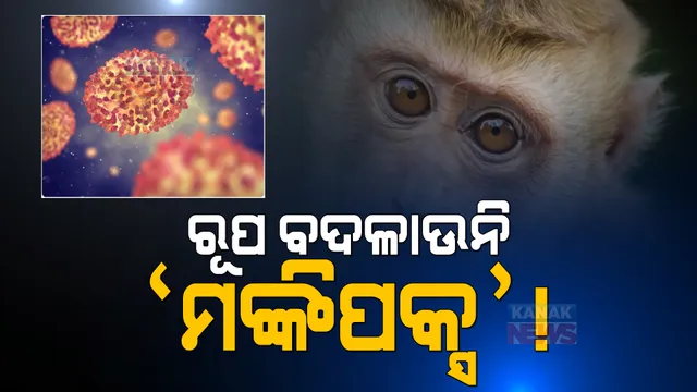 ମଙ୍କିପକ୍ସ ଭୟ ଭିତରେ ଆସିଲା ଆଶ୍ୱସ୍ତିକର ଖବର: ହୁ କହିଲା, ରୂପ ବଦଳାଇବାର ଏ ଯାଏଁ ମିଳିନି ପ୍ରମାଣ