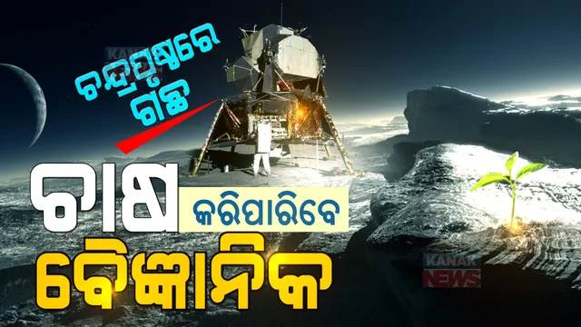 ଚନ୍ଦ୍ରପୃଷ୍ଠରେ ଗଛ । ଭବିଷ୍ୟତରେ ବୈଜ୍ଞାନିକ କରିପାରିବେ ଚାଷ । ପଢନ୍ତୁ ପୂରା ତଥ୍ୟ ...