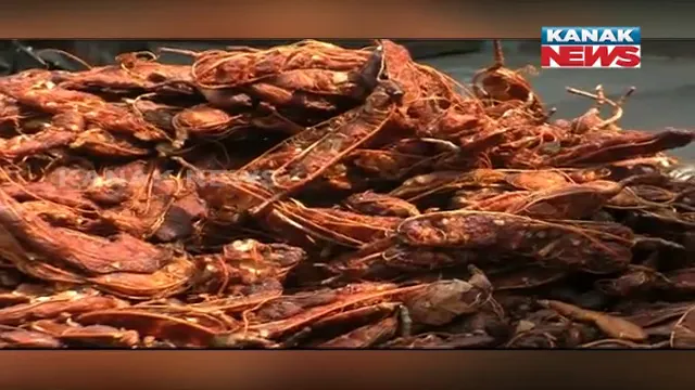 ଆମାଜନରେ ମିଳିବ ରାୟଗଡ଼ା ତେନ୍ତୁଳି: ଏଥିପାଇଁ ଓରମାସ ପକ୍ଷରୁ ଆମାଜନ ସହ ସ୍ୱାକ୍ଷରିତ ଚୁକ୍ତି