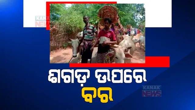 ଶଗଡ ଚଢି କନିଆଁ ଘରକୁ ଗଲା ବର: ପରିବେଶ ସୁରକ୍ଷା ବାର୍ତା ଦେଇ ଶଗଡରେ ଶ୍ୱଶୁର ଘର ଗଲେ ଆଦିବାସୀ ଯୁବକ