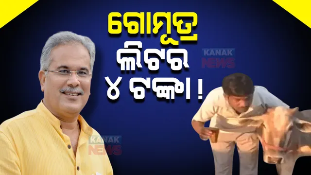 ଗାଈ ଚରାଳିଙ୍କୁ ଚାକିରି ପରେ ଛତିଶଗଡ଼ ସରକାରଙ୍କ ଆଉ ଏକ ନିଷ୍ପତ୍ତି । ଲିଟର ପିଛା ୪ଟଙ୍କା ଦେଇ ଗୋମୁତ୍ର କିଣିବେ ଭୂପେଶ ବାଘେଲ ସରକାର