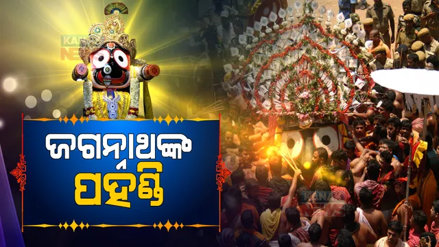 ଜଗନ୍ନାଥଙ୍କ ପହଣ୍ଡି : ଝୁଲି ଝୁଲି ରଥାରୁଢ଼ ହେବାପାଇଁ ପହଣ୍ଡିରେ ଭାବ ବିନୋଦିଆ କାଳିଆ ସାଆନ୍ତ