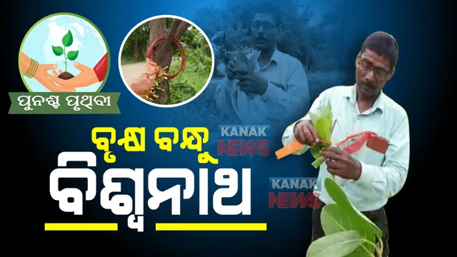 ଗଛ ଲଗାଇ ପରିବେଶକୁ ସବୁଜ ସୁନ୍ଦର କରୁଛନ୍ତି ‘ବୃକ୍ଷବନ୍ଧୁ ବିଶ୍ୱନାଥ’। ସୃଷ୍ଟି କରିଚାଲିଛନ୍ତି ଜଙ୍ଗଲ ।