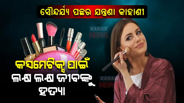 ସୌନ୍ଦର୍ଯ୍ୟ ପଛର ଯନ୍ତ୍ରଣା କାହାଣୀ । କସମେଟିକ୍ସ ପ୍ରସ୍ତୁତି ପାଇଁ ଲକ୍ଷ ଲକ୍ଷ ଜୀବଙ୍କୁ କରାଯାଉଛି ହତ୍ୟା ।