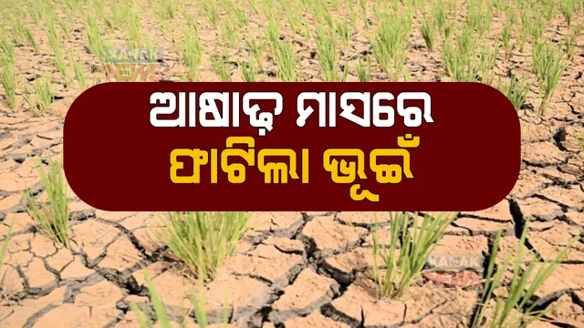 ଆଷାଢ଼ରେ ଫାଟିଲା ଭୂଇଁ। ଲୁଚକାଳି ଖେଳିଲା ମୌସୁମୀ, ନିଅଣ୍ଟିଆ ବର୍ଷାରେ ସରିଗଲା ଜୁନ୍।