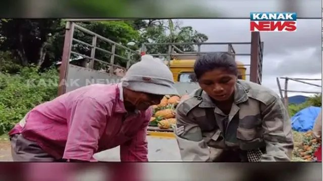 ଗଜପତି ଜିଲ୍ଲାରୁ ଉତ୍ପାଦିତ ହେଉଛି ଟନ୍ ଟନ୍ ସପୁରୀ। ଓଡିଶା ଜୀବିକା ମିଶନ ମାଧ୍ୟମରେ ସୃଷ୍ଟି ହେଉଛି ସୁଯୋଗ।