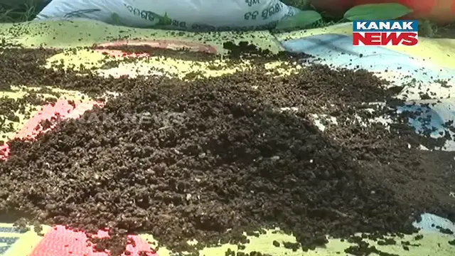 ଗୋବର ଖତ ଓ ଅଳିଆ ଆବର୍ଜନାରୁ ପ୍ରସ୍ତୁତ ହେଉଛି ଜିଆଖତ: କିଲୋ ପିଛା ୨୦ ଟଙ୍କାରେ ବିକ୍ରି କରି ଲାଭବାନ ହେଉଛନ୍ତି ମହିଳା