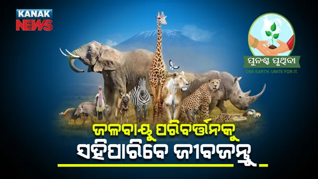 ଜଳବାୟୁ ପରିବର୍ତ୍ତନକୁ ସହିପାରିବେ ଜୀବଜନ୍ତୁ । ଗବେଷଣାରୁ ଆସିଲା ଏହି ତଥ୍ୟ ...