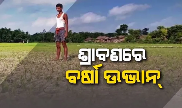 ଶ୍ରାବଣ ମାସରେ ଦେଖାନାହିଁ ବର୍ଷା । ରାଜ୍ୟର ବିଭିନ୍ନ ସ୍ଥାନରୁ ଆସିଲା ଚାଷୀଙ୍କ ବିକଳ ଚିତ୍ର ।