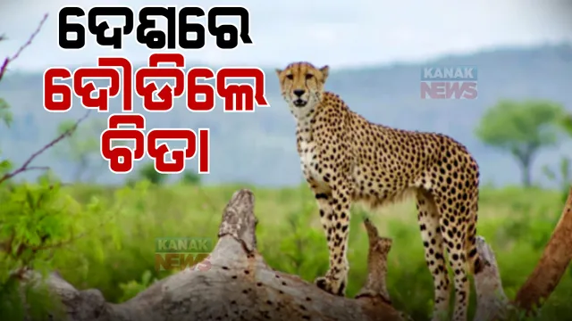 ପ୍ରାଇମ ଟାଇମ ବୁଲେଟିନ: ୧୭/୦୯/୨୦୨୨