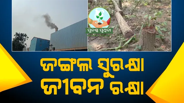 ଯୋଡା ଅଞ୍ଚଳରେ ଜଙ୍ଗଲହ୍ରାସ ବଢାଇଲା ଚିନ୍ତା। ଚାରିଆଡେ ଧୂଳିଧୂଆଁମୟ ପରିବେଶ।