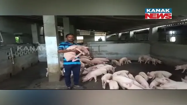 ଲାଭ ଦେଉଛି ଧଳା ଘୁଷୁରୀ ଚାଷ: ବାର୍ଷିକ ରୋଜଗାର ହେଉଛି ଲକ୍ଷାଧିକ ଟଙ୍କା