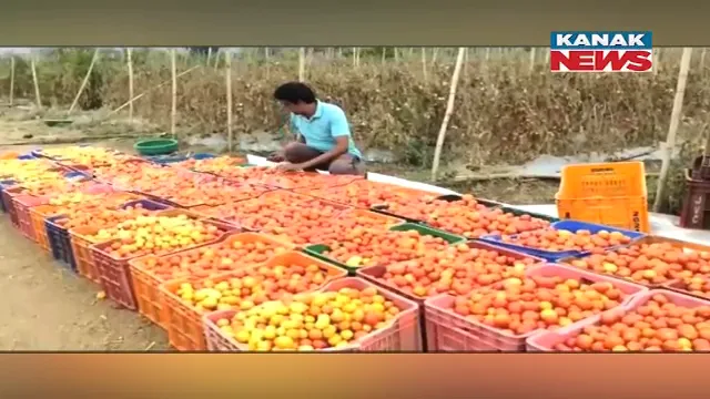 ଦିନେ ପେଟପାଟଣା ପାଇଁ ବାହାର ରାଜ୍ୟରେ ଖଟୁଥିଲେ ଦାଦନ: ଆଉ ଆଜି ଜଣେ ସଫଳ ଚାଷୀ