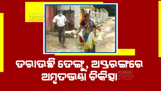 ଡରାଉଛି ଡେଙ୍ଗୁ, କାକଟପୁର ନରେନ୍ଦ୍ରପୁରରେ ଲୋକଙ୍କ ପ୍ରାକୃତିକ ଚିକିତ୍ସା।