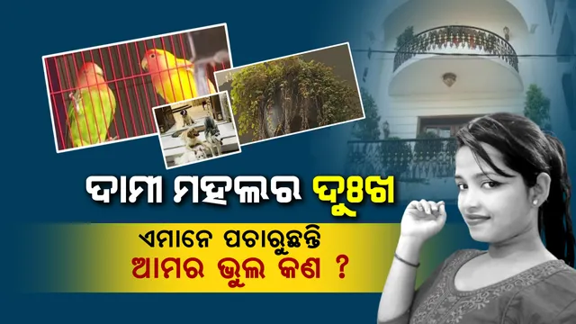 ଝାରପଡା ଜେଲରେ ଅର୍ଚ୍ଚନା, ରାଜପ୍ରାସାଦ ପରି ଘରେ ଭୋକ ଉପାସରେ ଜୀବଜନ୍ତୁ । ଅଖିଆ ଅପିଆ ଚଢେଇ-କୁକୁର । ପାଣି ବିନା ଝାଉଁଳିଗଲାଣି ଗଛ ।