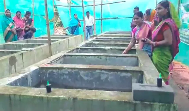 ବାୟୋଫ୍ଲକ ପଦ୍ଧତିରେ ମାଛଚାଷ କରି ସ୍ୱାବଲମ୍ବୀ ହେଉଛନ୍ତି ଗାଁ ମହିଳା । ମିଶନ ଶକ୍ତି ପକ୍ଷରୁ ମହିଳା ମାନଙ୍କୁ ମିଳୁଛି ସହଯୋଗ ।