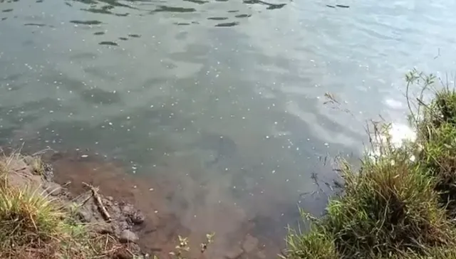 ଖଣି ଖାଦାନ ଆଉ ଶିଳ୍ପାଞ୍ଚଳ ଯୋଗୁ ଦୂଷିତ ହେଉଛି ନଦୀର ପାଣି । ବିଭିନ୍ନ ରୋଗର ଶିକାର ହେଉଛନ୍ତି ଲୋକ ।