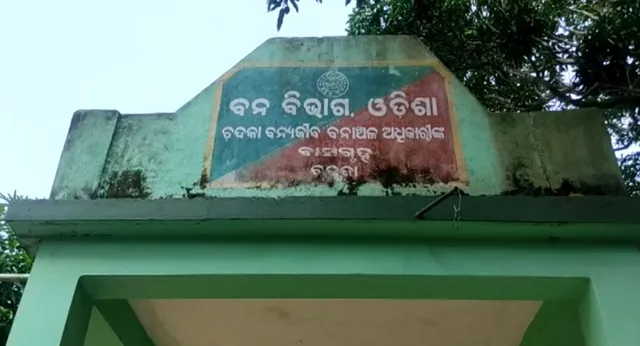 ନନ୍ଦନକାନନ ପାଚେରୀ ନିକଟରେ ଜଙ୍ଗଲୀ ହାତୀ ପଲ । ନଜର ରଖିଛି ବନବିଭାଗ