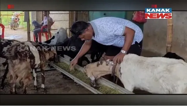 କରୋନା ବଦଳାଇ ଦେଲା ରୋଜଗାରର ମାଧ୍ୟମ । ଏବେ ଛେଳି କୁକୁଡା ଚାଷ କରି ମାସକୁ ରୋଜଗାର କରୁଛନ୍ତି ଲକ୍ଷାଧିକ ଟଙ୍କା