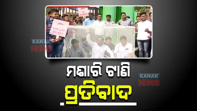 କଟକକୁ ଘାରିଲାଣି ଡେଙ୍ଗୁ ଚିନ୍ତା : ଡେଙ୍ଗୁ ଉପରେ ରୋକ୍ ଲାଗୁ ନଥିବାରୁ ମଶାରି ଟାଣି ପ୍ରତିବାଦ କଲେ ବିଜେପି କର୍ପୋରେଟର