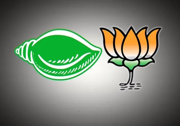 ଧାମନଗର ୨୩ନମ୍ବର ବୁଥରେ ରିଗିଂ ଅଭିଯୋଗ : ଘଟଣାକୁ ନେଇ ବିଜେଡି ଓ ବିଜେପି ମୁହାଁମୁହିଁ